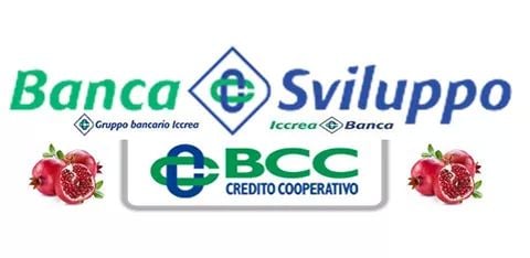 Lettere A Iacchite Bcc Banca Sviluppo E Iccrea Banca Ecco Cosa Sta Succedendo Iacchite Blog