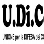 logo_udicon_