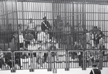 Cosenza, il grande bluff dell’operazione Garden: 10 ottobre 1994