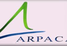 Arpacal, un dirigente ricorre al Tar contro il bando “pilotato” per il direttore del settore risorse umane