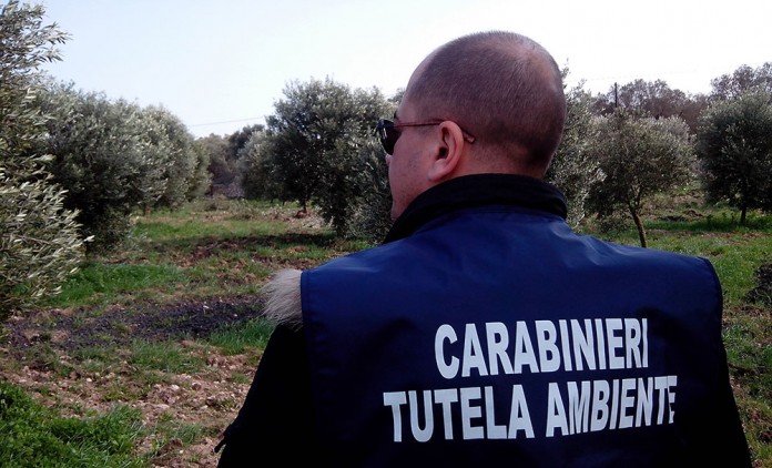 noe-campagna-controlli-696x422