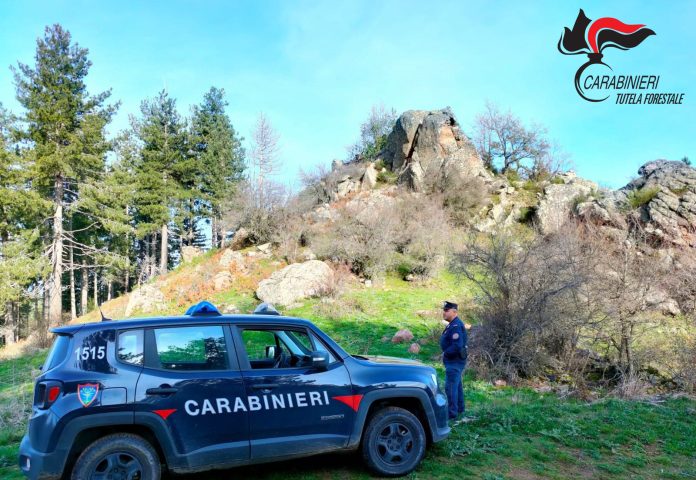 CC CONTROLLO ROSSANO