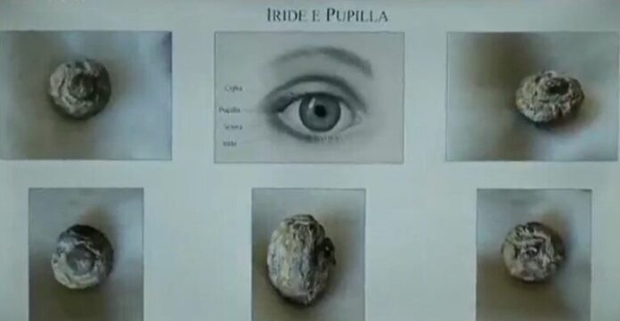 pupilla-iride-768x397