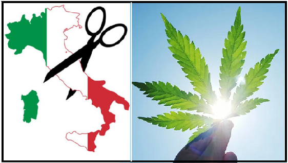 legalize