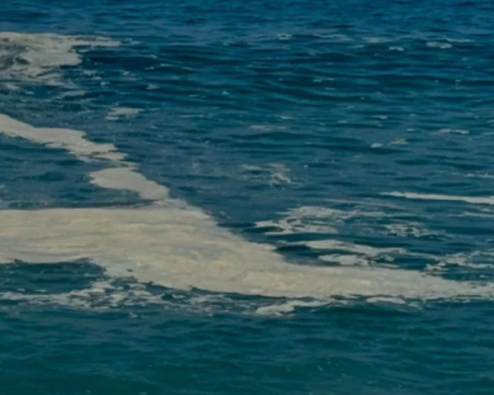 Diamante-mare-sporco-800x640