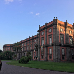 napoli-museo-capodimonte-260x260