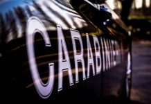 Mileto. Rapina a mano armata in un distributore di benzina