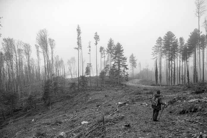 Uno scorcio della montagna sfregiata fra San Sostene e Brognaturo