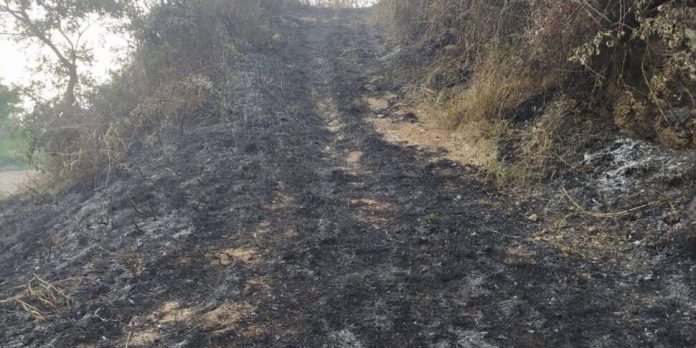 incendio-bagnara-970x485