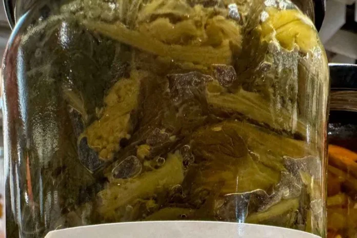 friarielli-sotto-olio-barattolo-1-768x512