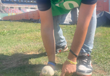 Cosenza, qui stadio Marulla. Un funghetto trallallà, due funghetti trallallà…