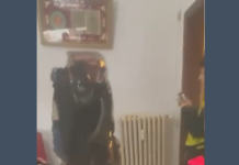 Sfratto a Bologna, la polizia entra nell’appartamento. Plat: “Porta devastata e muro buttato giù con una mazza di ferro”