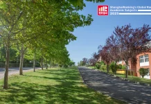 L’Unical cresce nel Global Ranking di Shanghai e con Water Resources entra nella top 100 mondiale