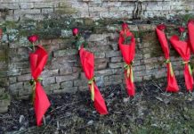 Fratelli Cervi, sindaca Salis a Reggio Emilia per 82° anniversario eccidio: “Fascismo non può fucilare un’idea”