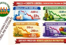 “Agricoltura in ginocchio, è sempre più Stato di Crisi: quando reagirà il Paese?”