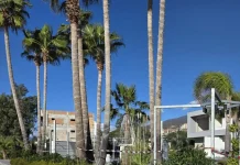 Paola. Guardia costiera sequestra ristorante per abusi edilizi