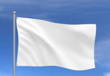 Annarosa Macrì: “Sul Ponte sventola bandiera bianca: ecco perché mi sono dimessa dal Comitato Scientifico della Fondazione Alvaro”