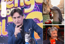 L’asinello Orazio e il delfino Mimmo: viva la tv, viva il varietà