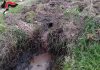 Casabona. Sversamento illecito di acque di vegetazione, frantoio oleario posto sotto sequestro