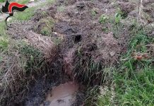 Casabona. Sversamento illecito di acque di vegetazione, frantoio oleario posto sotto sequestro
