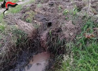 Casabona. Sversamento illecito di acque di vegetazione, frantoio oleario posto sotto sequestro