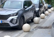 Vibo tra “Palle” e Professori di… Procedura penale