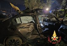 Platania, auto si schianta contro gli alberi: perde la vita un ragazzo