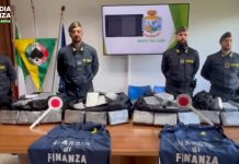 Porto di Gioia Tauro. Nuovo maxi sequestro di coca: 248 chili