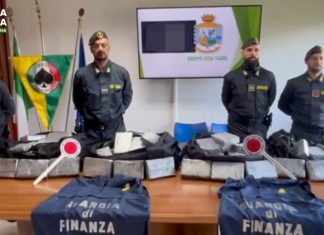 Porto di Gioia Tauro. Nuovo maxi sequestro di coca: 248 chili