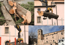 “Arcavacata, i cipressi tagliati e il silenzio degli ambientalisti”