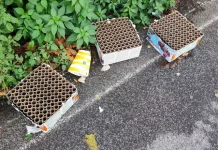 Tre feriti nel Crotonese per i botti di Capodanno