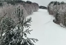 Freddo e neve in Calabria, a Camigliatello 38 centimetri di manto bianco