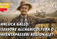 Calabria, gli agricoltori hanno bisogno di una voce non di un Gallo spaventapasseri
